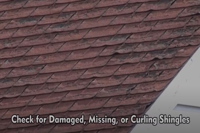 Checking for damaged, missing, and curling shingles